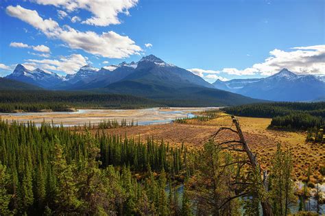 howse pass viewpoint